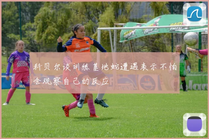 科贝尔谈训练基地蛇遭遇表示不怕会观察自己的反应