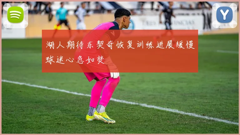 湖人期待东契奇恢复训练进展缓慢球迷心急如焚