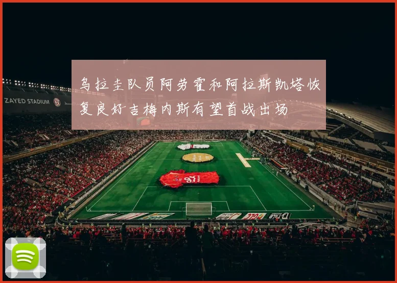 乌拉圭队员阿劳霍和阿拉斯凯塔恢复良好吉梅内斯有望首战出场